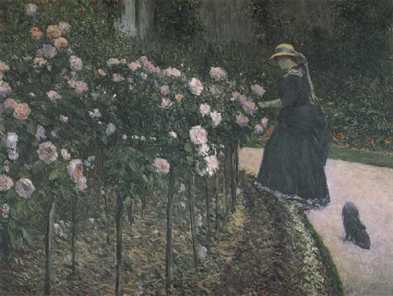 Gustave Caillebotte Some Rose in the garden Norge oil painting art